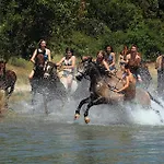 Vi * Manjadvorci