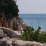 Vi