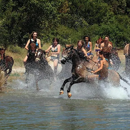 Vi * Manjadvorci